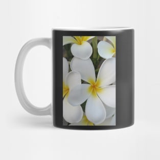 iphone-Fiji Flowers Mug